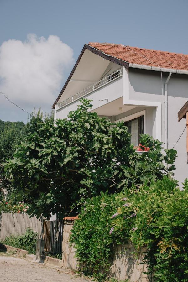 فندق Agva Marina House اسطنبول المظهر الخارجي الصورة